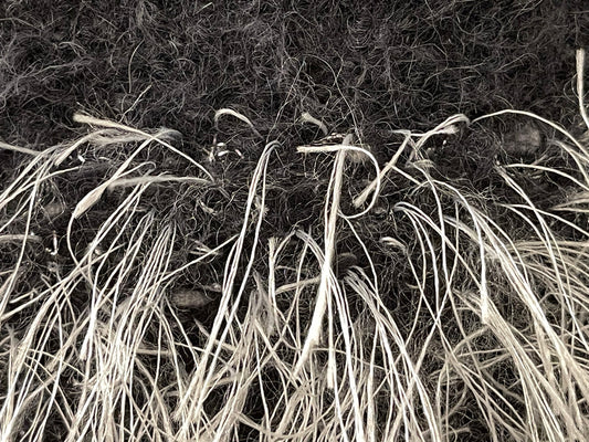 Brooke... a bag for wherever the river takes you!